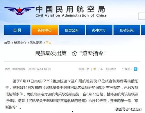 航线爆料最新消息,揭秘即将开通的神秘航线详情